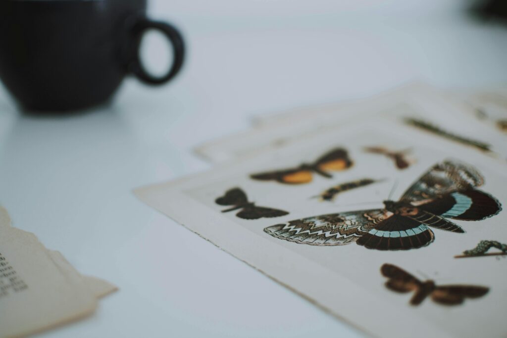 Close-up of butterfly artwork on paper beside a coffee cup for a creative still life.